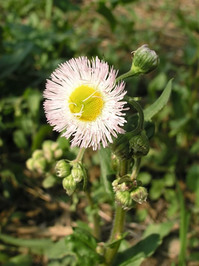 いのちの贈り物をありがとう_1.jpgのサムネイル画像